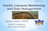 Pacific Lamprey Monitoring and Data Management