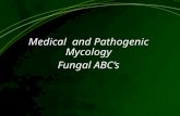 Medical  and Pathogenic Mycology Fungal ABC’s