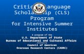 Critical Language Scholarship  (CLS)  Program for Intensive Summer Institutes
