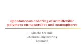 Spontaneous ordering of semiflexible polymers on nanotubes and nanospheres