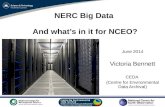 NERC Big Data  And what’s in it for NCEO?