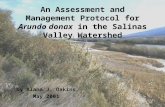 An Assessment and Management Protocol for  Arundo donax  in the Salinas Valley Watershed