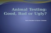 Animal  Testing: Good, Bad or Ugly?