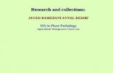 Research and collections: JAVAD RAMEZANI AVVAL REIABI MS in Plant  Pathology