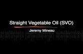 Straight Vegetable Oil (SVO)