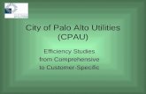 City of Palo Alto Utilities (CPAU)