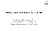 Performance Evaluation of a DBMS
