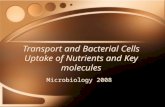 Transport and Bacterial Cells Uptake of Nutrients and Key molecules