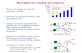 Motivation for Studying Heavy Quarks