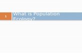 What is  Population Ecology ?