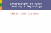 Introduction to Human  Anatomy & Physiology