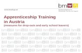 Apprenticeship Training  in Austria (measures for drop-outs and early school leavers)