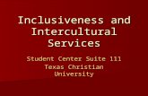 Inclusiveness and Intercultural Services
