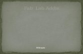 Fab   Lab Addis