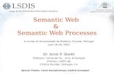Semantic Web  &  Semantic Web Processes