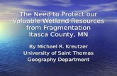 The Need to Protect our Valuable Wetland Resources from Fragmentation Itasca County, MN