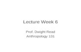 Lecture Week 6