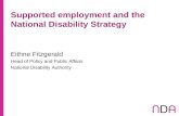 Supported employment and the National Disability Strategy