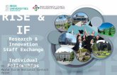 RISE & IF Research & Innovation Staff Exchange Individual Fellowships