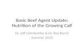 Basic Beef Agent Update: Nutrition of the Growing Calf