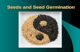 Seeds and Seed Germination