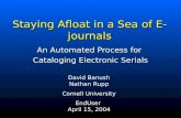 Staying Afloat in a Sea of E-journals