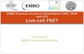 EMBO  Practical course  on Quantitative FRET, FRAP and FCS Live-cell  FRET
