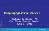 Esophagogastric Cancer