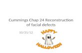 Cummings Chap 24 Reconstruction of facial defects