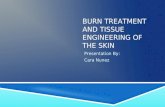 BURN TREATMENT AND TISSUE ENGINEERING OF THE SKIN