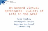 On-Demand Virtual Workspaces: Quality of Life in the Grid