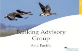 Banking  Advisory  Group