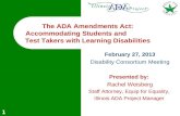 February 27, 2013 Disability Consortium Meeting Presented by: Rachel Weisberg
