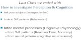 How to investigate Perception & Cognition