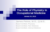 The Role of  Physiatry  in Occupational Medicine January  31, 2013