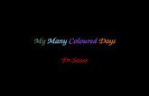 My Many Coloured  Days