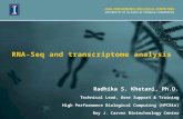 RNA-Seq and transcriptome analysis