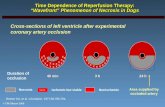 Time Dependence of Reperfusion Therapy: “Wavefront” Phenomenon of Necrosis in Dogs