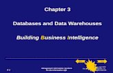 Chapter 3 Databases and Data Warehouses Building  B usiness  I ntelligence