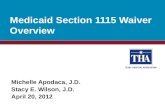 Medicaid Section 1115 Waiver Overview