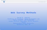 Web Survey Methods