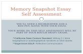 Memory Snapshot Essay  Self Assessment