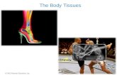 The Body Tissues