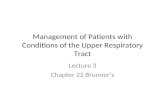 Management of Patients with Conditions of the Upper Respiratory Tract