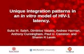 Unique integration patterns in an  in vitro  model of HIV-1 latency.