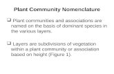 Plant Community Nomenclature