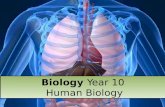 Biology  Year 10  Human Biology
