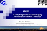 Luísa Arruda on behalf of the GAW collaboration