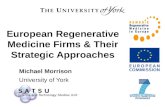European Regenerative Medicine Firms & Their Strategic Approaches