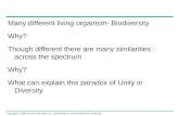 Many different living organism- Biodiversity Why?